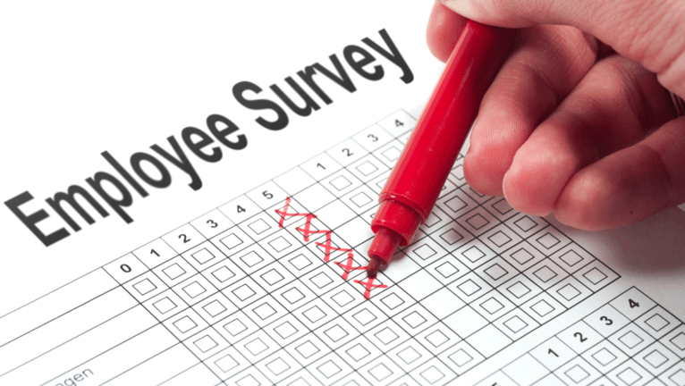 Employ survey.png Encuesta de empleados.png