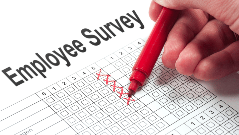 Employ survey.png