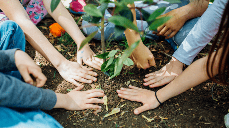 Environmental impact ecosia search engine.png