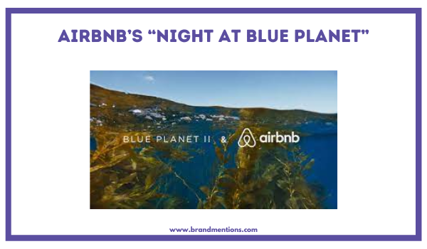 Airbnb’s “Night at Blue Planet Campaign".png