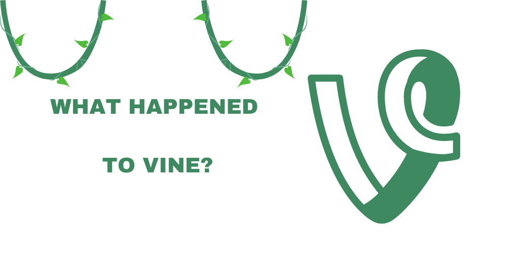 WHAT HAPPENED TO VINE (1).png