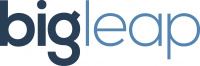 big.leap.logo.jpg