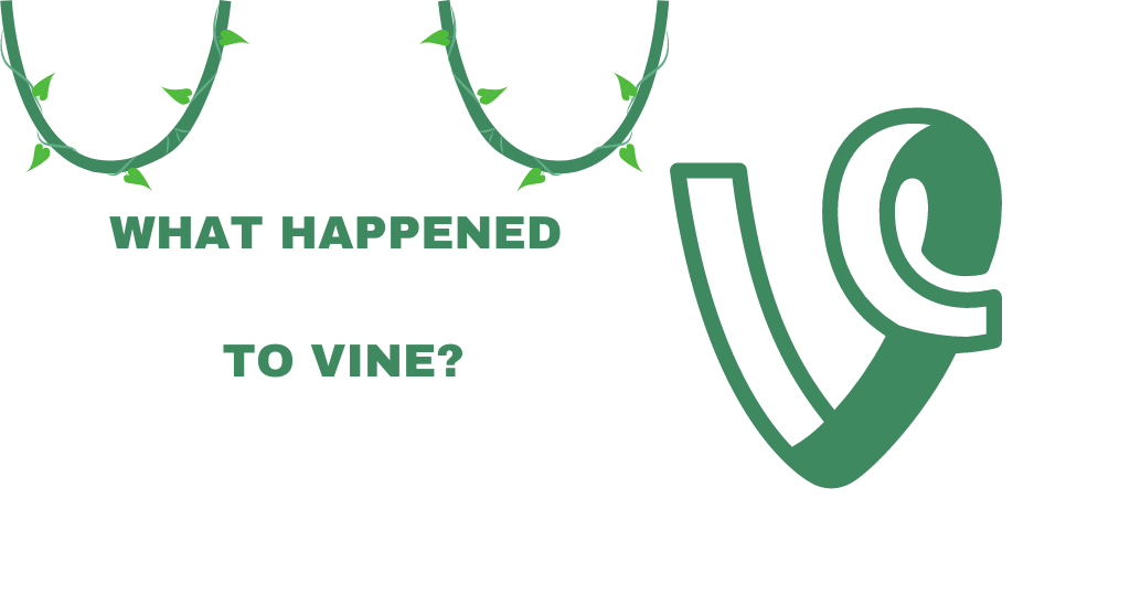 What Happened to Vine?